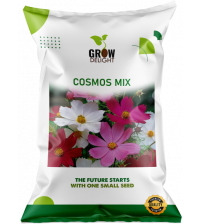 Grow Delight Imported Cosmos Mix 100 Seeds Grow Delight Imported Cosmos Mix 100 Seeds
